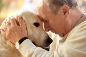 Older man petting a dog